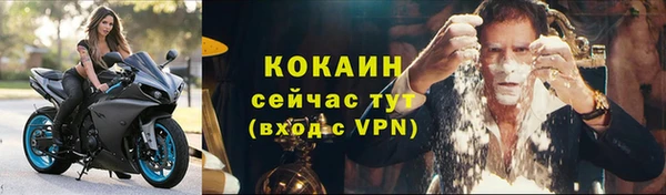 мяу мяу мука Новозыбков
