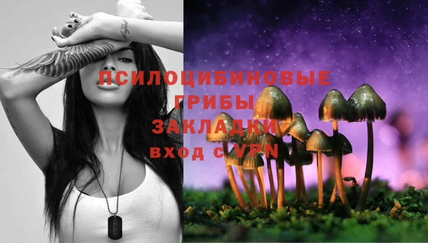 амф Нязепетровск